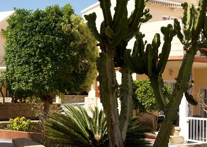 Park For Beautifully Located * Адехе